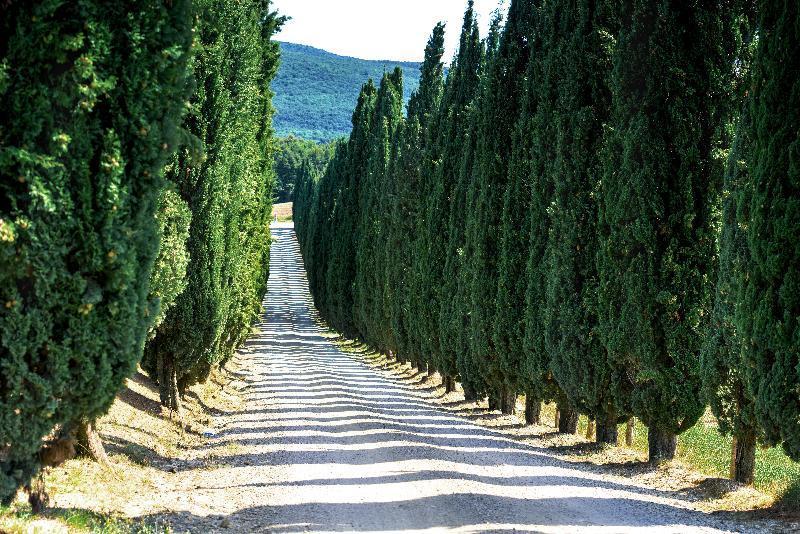 Borgo Di Pietrafitta Relais Apartment Castellina in Chianti Exterior photo